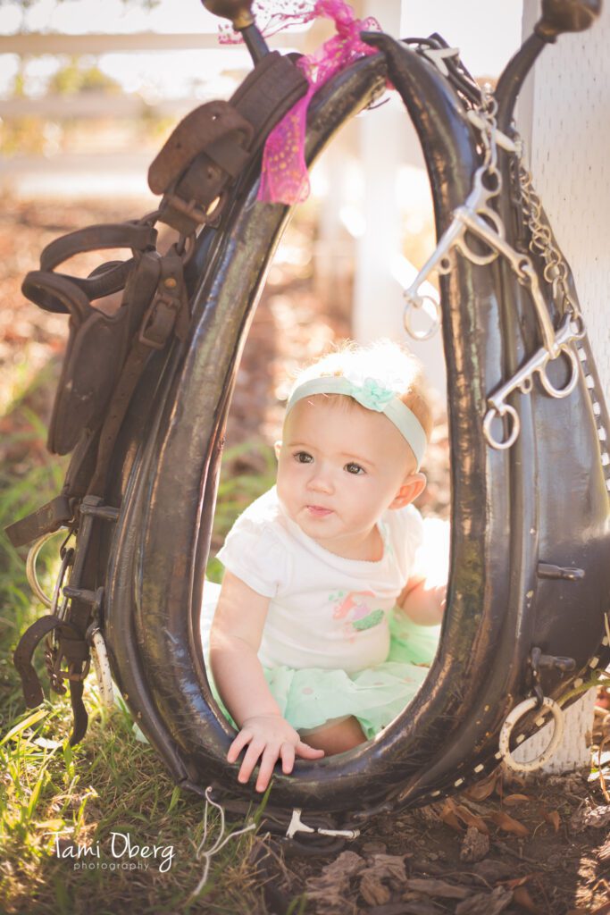 8Z8A9247-Edit_FB