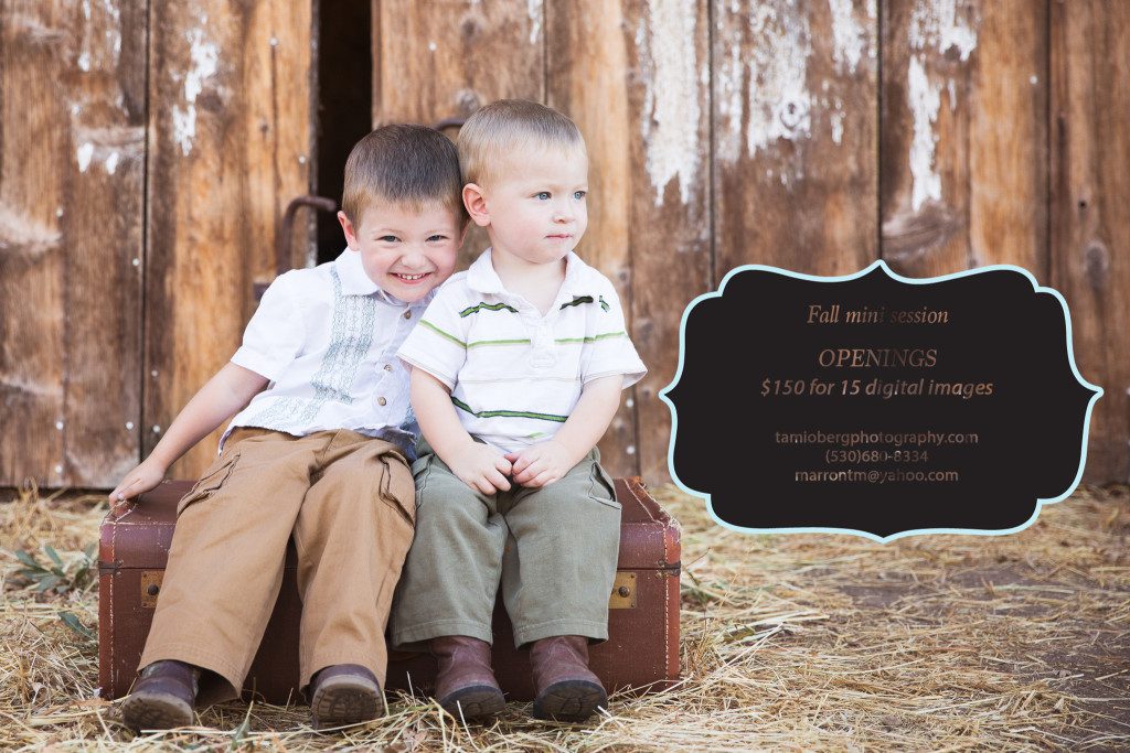 Chico photography mini sessions