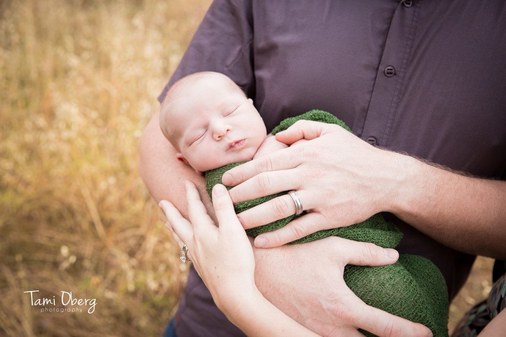 mom and dad's hands on their newborn baby