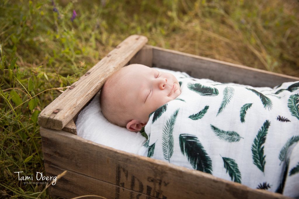 picture of a baby boy in a blanket with green feathers