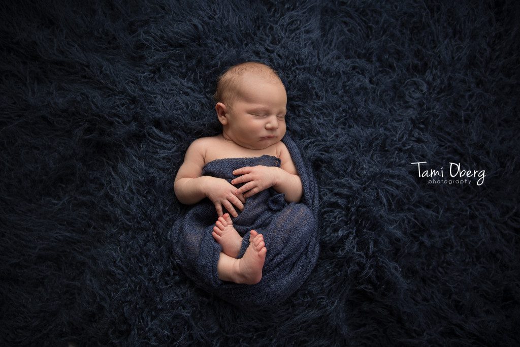 newborn baby nest pose in a flokati rug