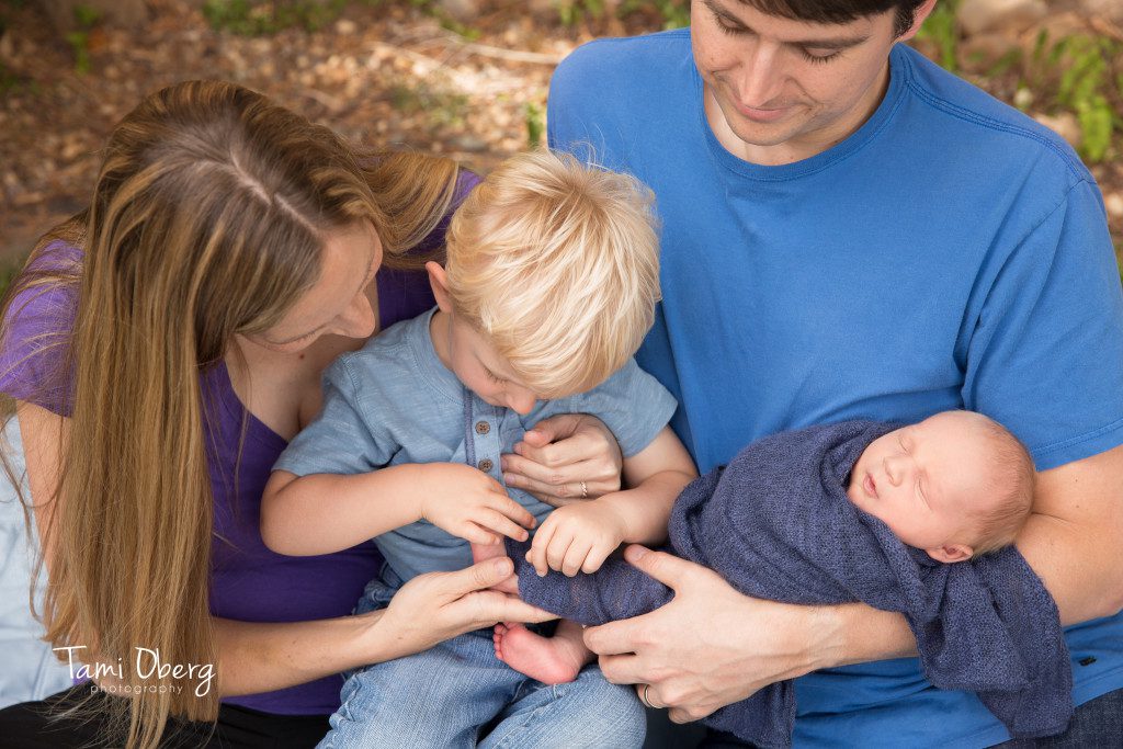 family photography, counting newborn baby toes