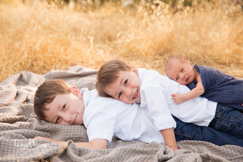 three brother doggy pile