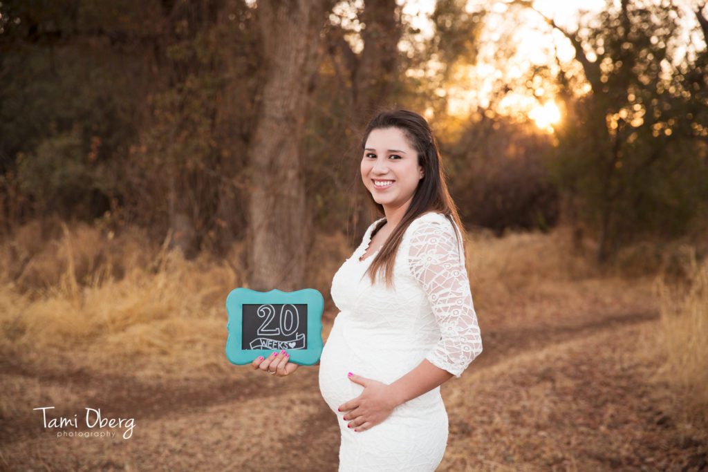 pregnancy progression picture