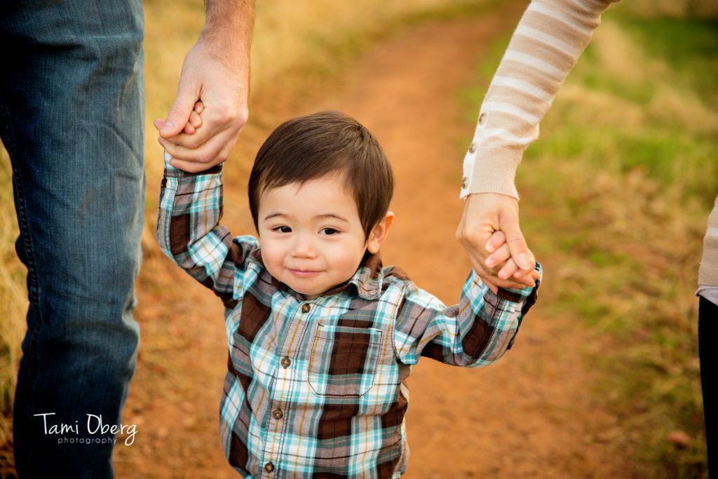 little boy holding his parent's hands