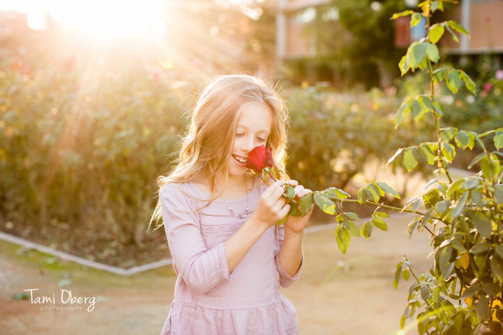 8z8a6805-edit_fb