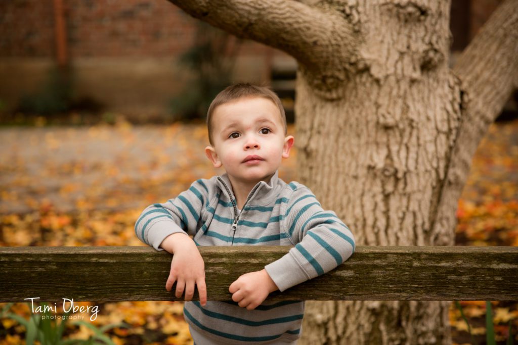 8z8a8910-edit_fb