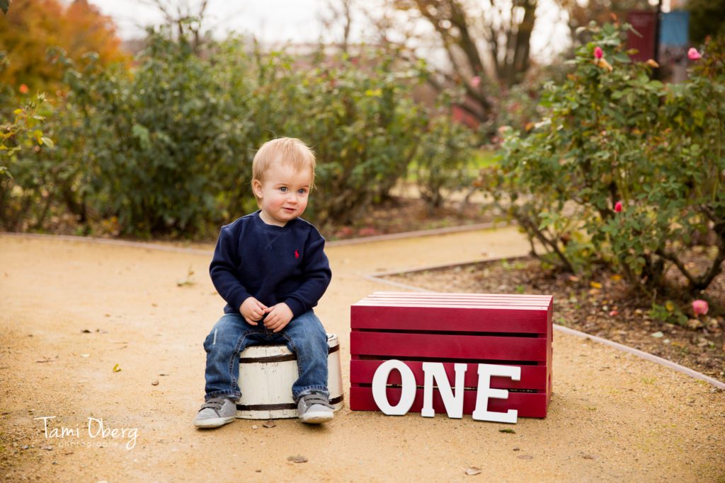 8z8a9263-edit_fb