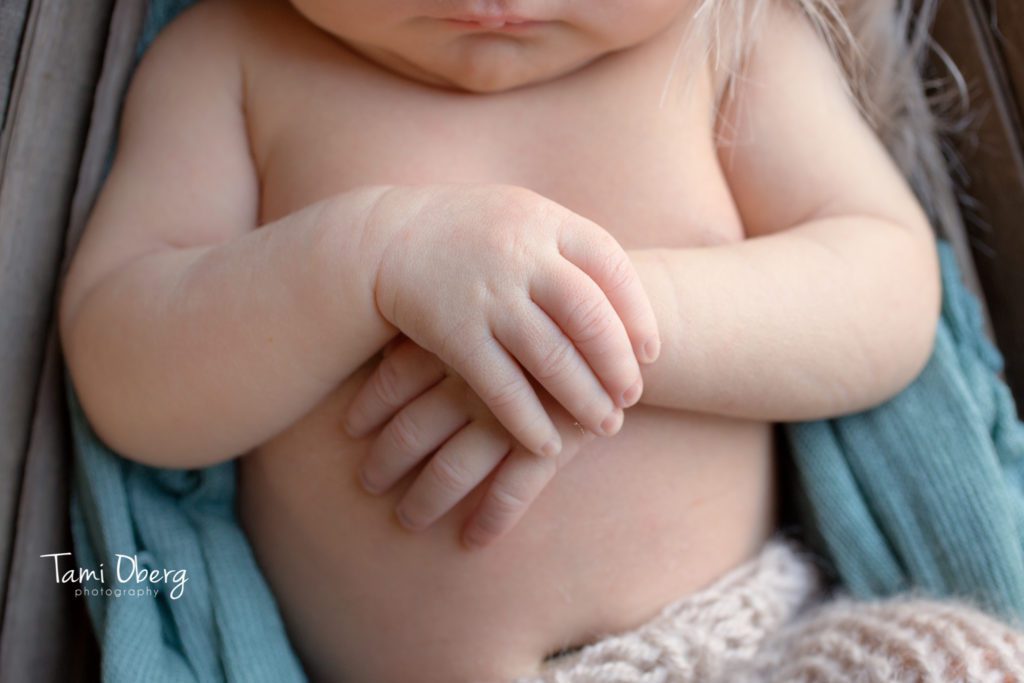 detail shot of baby hands